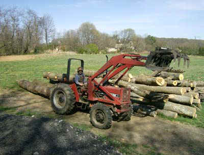 Smalll Woodlot Timber Harvesting and Logging in Pennsylvania