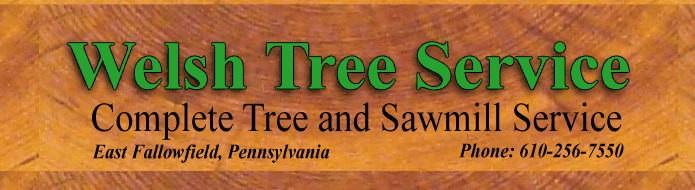 Welsh Tree Service